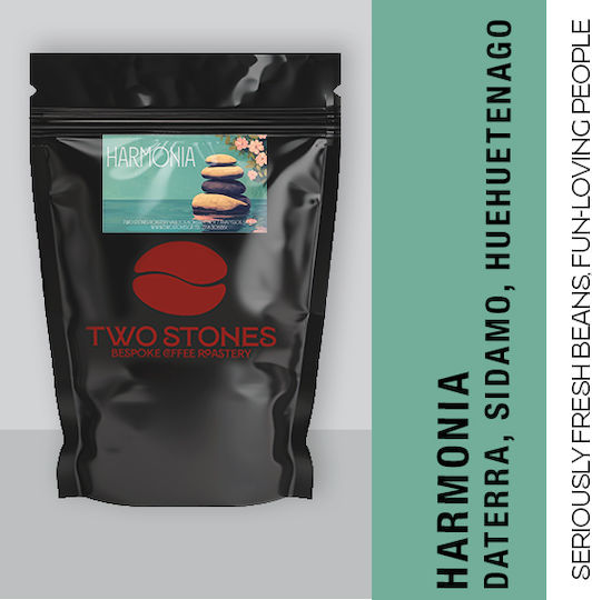 TwoStones Coffee Roasters Cold Brew Kaffee Harmonia Schokolade Gemahlen 500gr