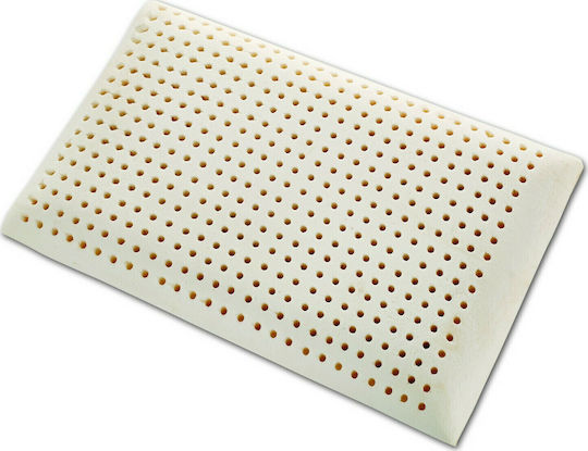 Linea Strom Classic Bed Pillow Latex 40x65x14cm
