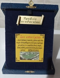 Βραβειό Παναθηναίκου