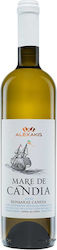 Alexakis Vin Alb Sec 750ml