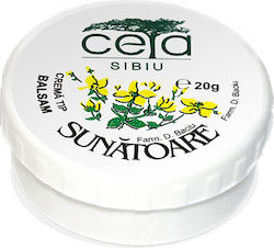 Ceta Sibiu Tutsan Ointment Κρέμα για Επούλωση 20gr Ceta Sibiu Tutsan Ointment Κρέμα για Επούλωση 20gr