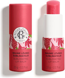 Roger & Gallet Lip Balm 3.5gr Roger & Gallet Lip Balm 3.5gr