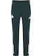 Pantaloni de trening Verde