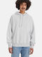Authentic Φούτερ με Κουκούλα Light Gray