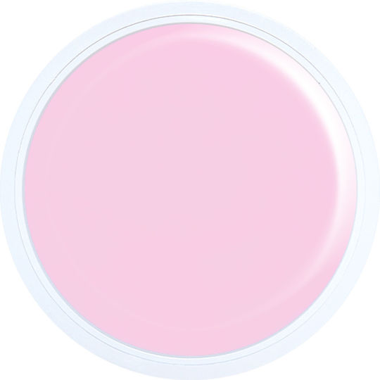 Alezori Acrygel A&g Milky Pink Npj 50g
