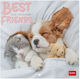 Wall Calendar 2026 Legami 18x18cm Best Friends ...