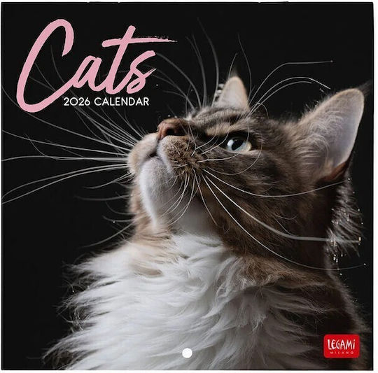 Wall Calendar 2026 Legami 18x18cm Cats Cal260102