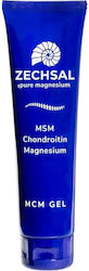 Zechsal Msm Chondroitin Magnesium 100ml