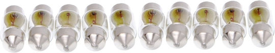Tube Lamp 12V-10W SV8.5 Base 11x28 Chevrolet Daewoo Isuzu Mazda Opel Toyota Volvo 780123set-10734