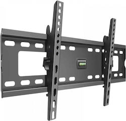 170567 Wandmontage TV-Halterung Bis 65 Zoll