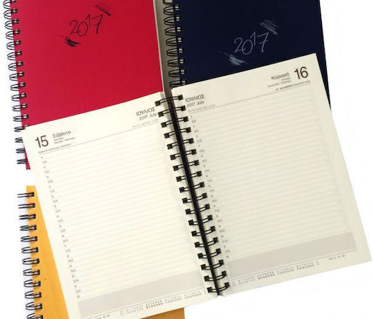Planogramma Spiral Daily Diary 17x24 2026 Blue Red