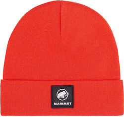 Mammut Mammut