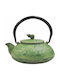 Costos Teapot with Filter Cast Iron Green 450ml