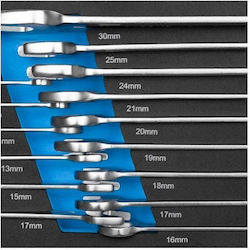 Set 15 Chei Combinatie Hogert Steel Pentru Desurubare Si Insurubare Set 15 Chei Combinatie Hogert Steel Pentru Desurubare Si Insurubare