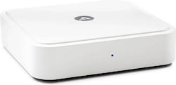 Argon Audio Solo Бял