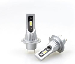 Heleco Lamp LED Heleco Lamp LED