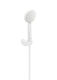Roca Handheld Showerhead with Hose