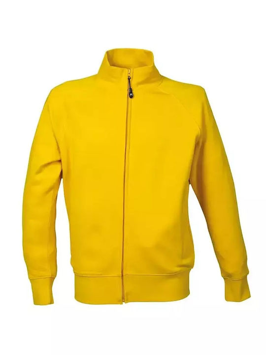 JRC Bărbătesc Yellow