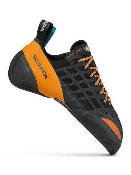 Scarpa Women's Climbing Shoes Black
