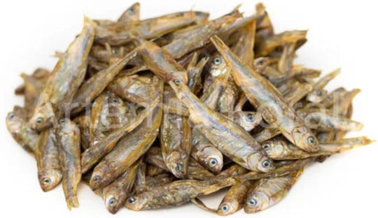 Epigasos Getrocknete Kleine Fische 1-3 Cm 1000ml/170gr