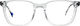 Urban Owl Transparent Oliver