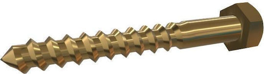 E-Sea Antrenor Screw Alamă DIN 571