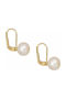 Earrings made of Gold 14K with Pearls
