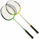 Vixen Badminton Set