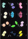 Ff Nail Art Kit No 14