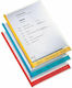 Esselte Binder Pocket Expandable Reinforced Transparent With Blue Border 15398 Type C