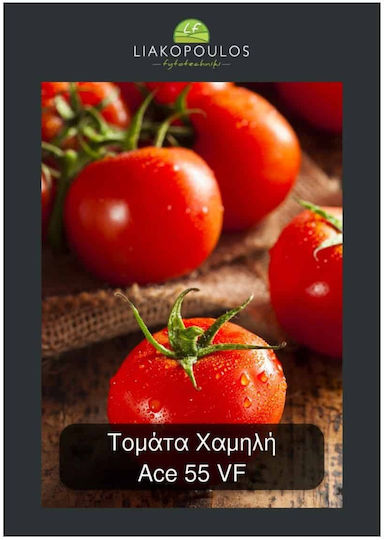 Lf.gr Samen Tomate Niedrig 2,5 g