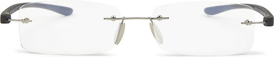 Reading Glasses Nordicvision Lidkoping Silver +2.00