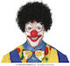 Carnival Wig Afro Hair Black 90700