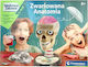 Clementoni Educational Game Experiments