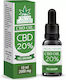 Spectrum Hanföl für Entgiftung mit 20% CBD 10ml