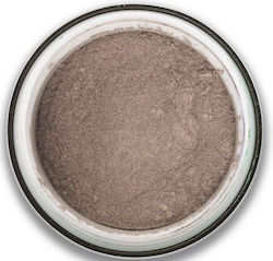 Stargazer Dust 29 Graue Lidschatten