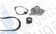 Camshaft Belt Set + Pump Dacia Duster Logan Sandero/Nissan Micra Note Qashqai Tiida/Renault Clio Kangoo Laguna Megane Sce Kbu10209a-10217