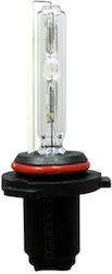 3GSound Lampe Xenon Naturweiß