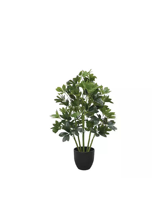 Schefflera Tree Planter H80cm 4/kib 04-10096