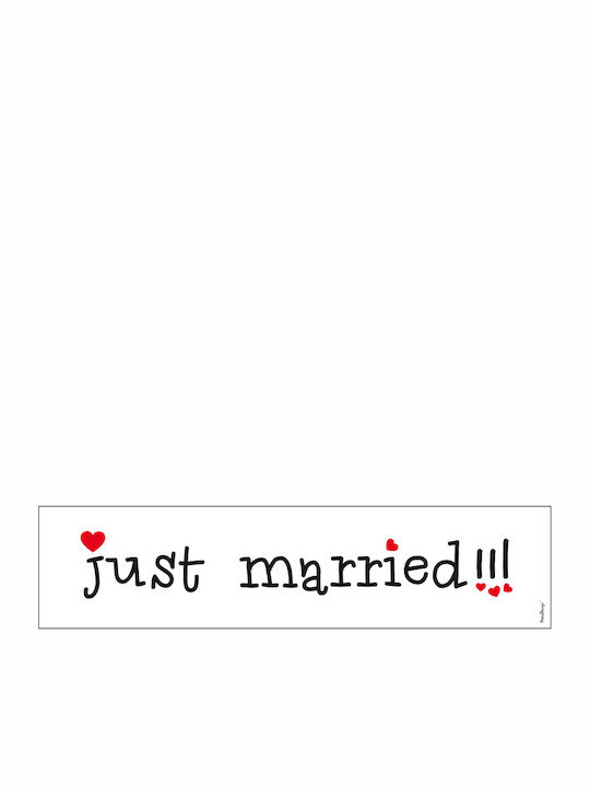 PartyDeco Wedding Car License Plate