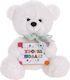 Plush Bear Plush birthday soft toy 20 cm