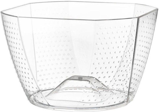 Arir Einfache Champagners mit Abmessungen 24x37cm Transparent