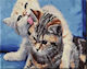 Paint By Numbers Two Cats