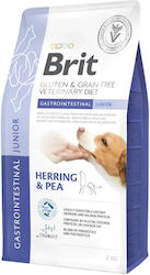 Brit Gastrointestinal