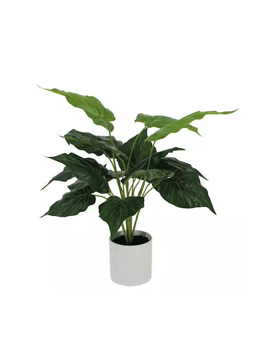 Plantă Iedera Diavolului Verde Real Touch Ghiveci H40cm 12/bax