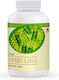 DXN Spirulina 500 Mützen