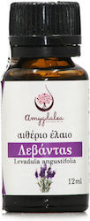 Amygdalea Essential Oil Lavender 12ml