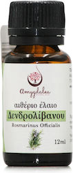 Amygdalea Αιθέριο Έλαιο Δενδρολίβανο 12ml