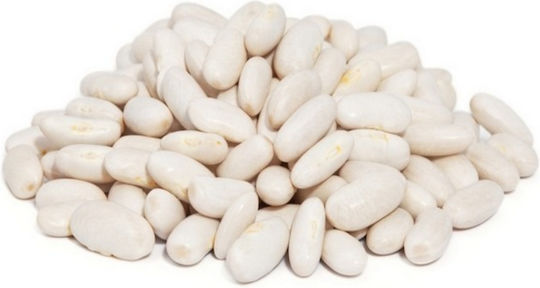 Evotris Seeds Bean Dried Greens 22gr