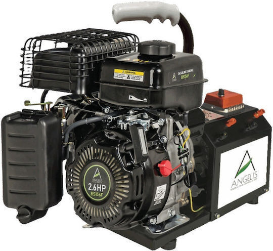 Agelis Olive Harvester Generator 70A with Dynamo